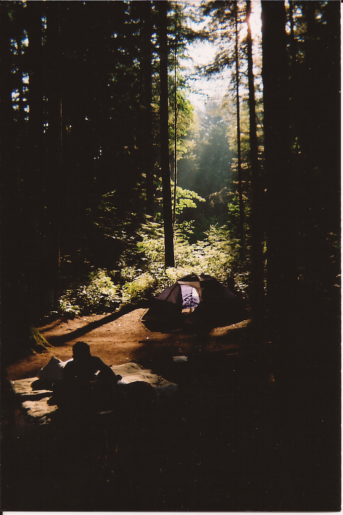 camp, camping and forest