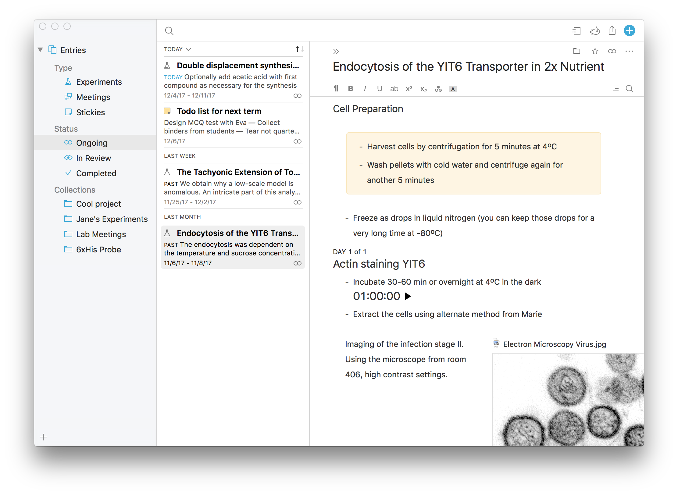 Findings screenshot, showing the main window and the main features