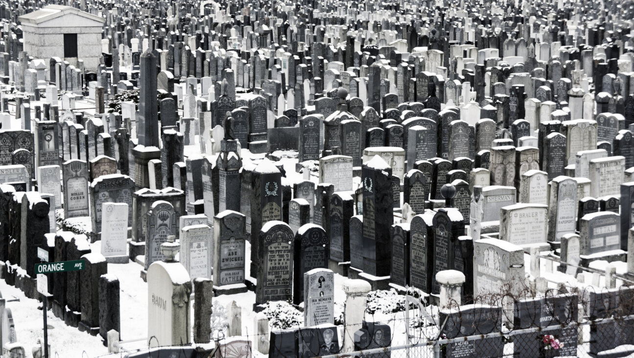 The Meretz Cemetery in Brooklyn, founded in 1867.