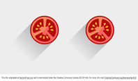 Tomato Vector Slice