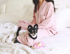 愛犬とお揃いにできる！　かわいらしいルームウェアが発売