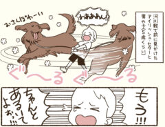 『前に見かけた犬の散歩』の漫画画像