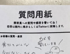 「カメの常識を教えて下さい」　飼育員の答えが…「知らなかった」「全部覚えたい」