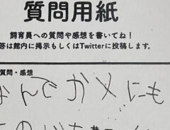 質問用紙に書かれた『素朴な疑問』　内容に「将来有望」「よくぞ気づいた」