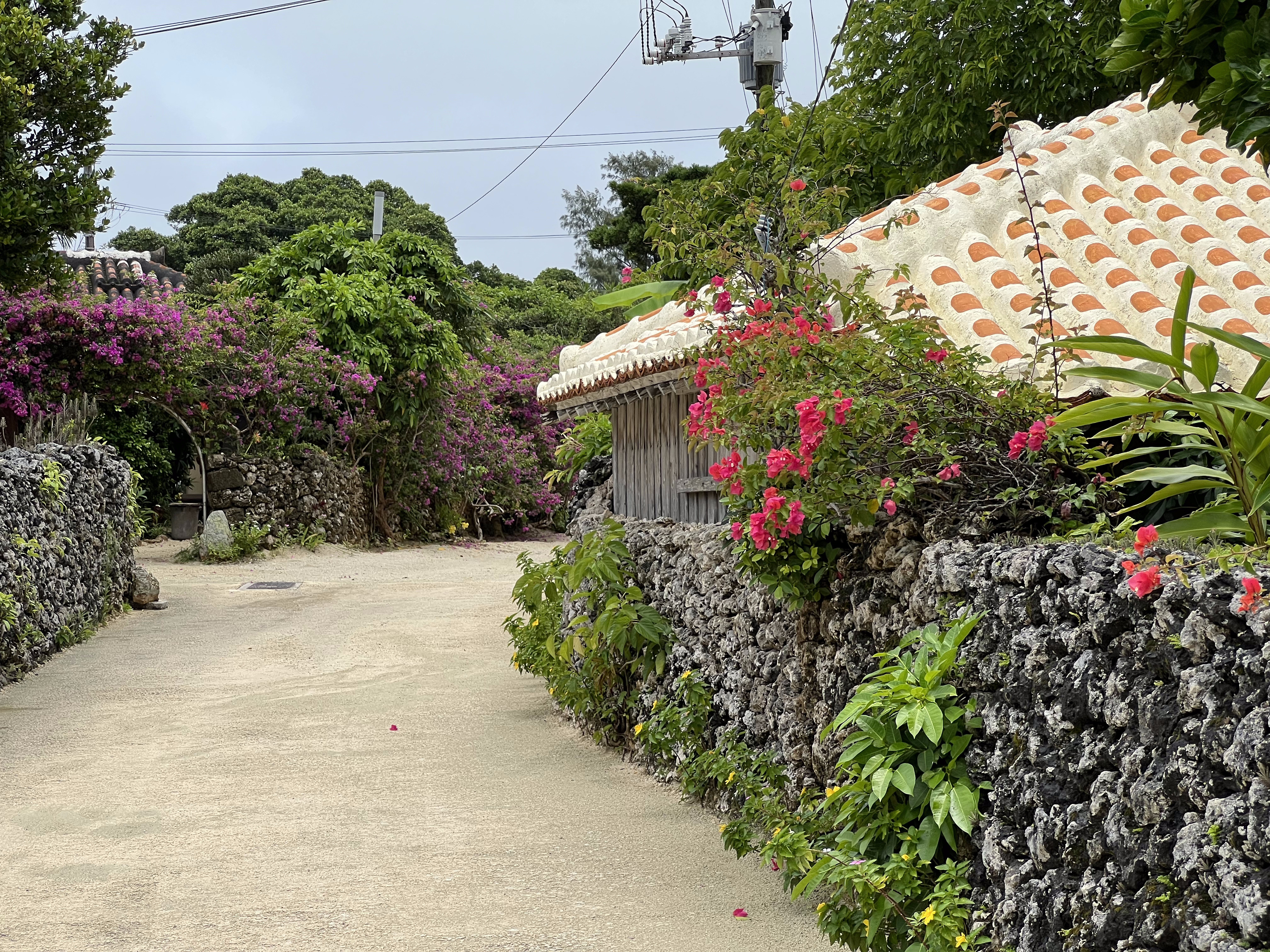 竹富島