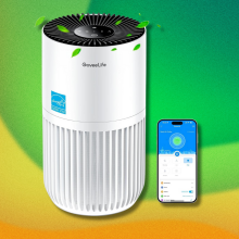 GoveeLife Mini Air Purifier on green and yellow background