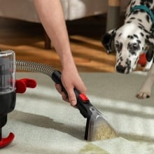 Dalmatian dog looks at Dirt Devil Portable Spot cleaning carpet