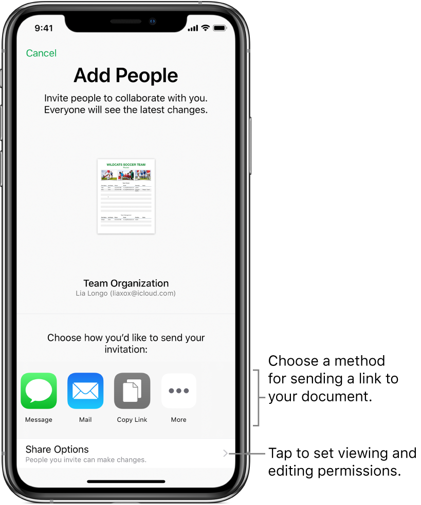 A screen for inviting people to view and edit your file. The methods for sending the invitation include Message and Mail. Share Options appears below them.