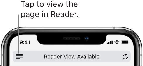 The address field in Safari, with the Reader button on the left.