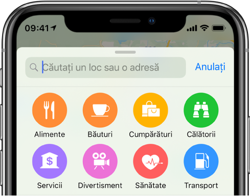 Butoanele pentru opt servicii apar sub câmpul de căutare. Butoanele din rândul de sus se numesc Mâncare, Baruri, Cumpărături și Călătorii. Butoanele din rândul de jos se numesc Servicii, Divertisment, Sănătate și Transport.
