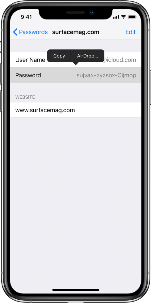 The account screen for a website. The password section is selected, and a menu containing the items Copy and AirDrop appears above it.