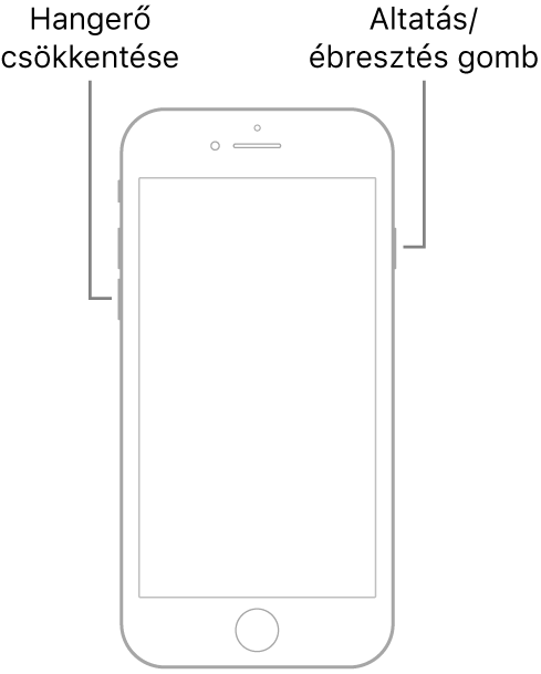 Az iPhone 7 modell, amelynek képernyője felfelé néz. A hangerőcsökkentő gomb az eszköz bal oldalán található, az Altatás/Ébresztés gomb pedig a jobb oldalon.