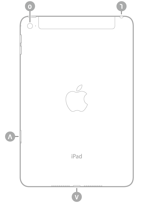 عرض للجزء الخلفي من الـ iPad mini مع وسائل شرح من أعلى اليسار في اتجاه عقارب الساعة: الكاميرا الخلفية ومقبس سماعة الرأس وموصل Lightning وحامل SIM (‏Wi-Fi + Cellular).