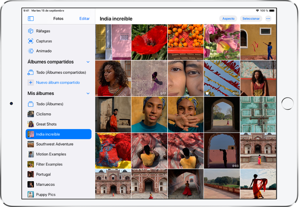 La barra lateral Fotos está abierta en la parte izquierda de la pantalla. Debajo del encabezado “Mis álbumes”, el álbum titulado “India increíble” está seleccionado. El resto de la pantalla del iPad está llena de fotos y vídeos del álbum “India increíble”, que se muestran en mosaicos.