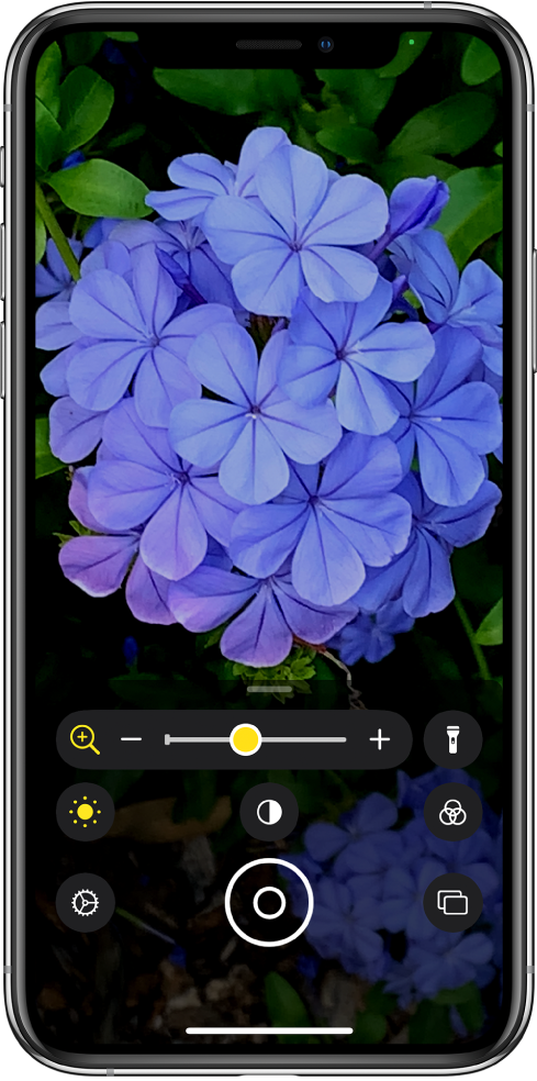 Kuva Magnifier, millel on kujutatud lähivõtet lillest.