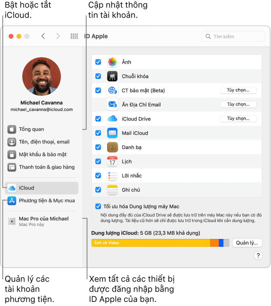 Khung ID Apple trong Tùy chọn hệ thống. Bấm vào một mục trong thanh bên để cập nhật thông tin tài khoản của bạn, bật hoặc tắt iCloud, quản lý các tài khoản phương tiện và xem tất cả các thiết bị được đăng nhập bằng ID Apple của bạn.