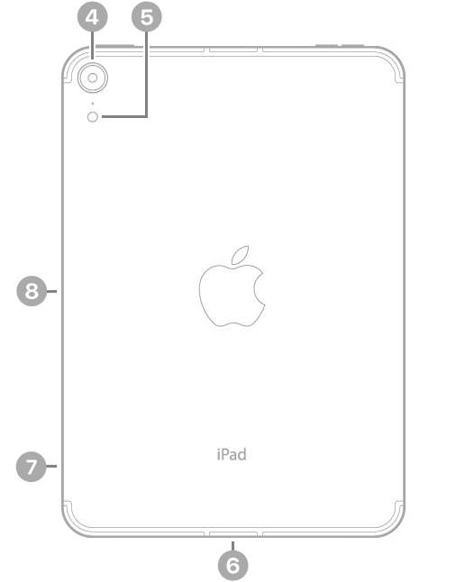 Achterkant van de iPad mini met bijschriften voor de camera aan de achterkant en de flitser linksbovenin, de USB-C-connector in het midden aan de onderkant, de simkaarthouder (Wi-Fi + Cellular) linksonderin en de magnetische connector voor de Apple Pencil aan de linkerkant.