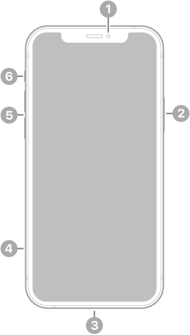 The front view of iPhone 12. The front camera is at the top center. The side button is on the right side. The Lightning connector is on the bottom. On the left side, from bottom to top, are the SIM tray, the volume buttons, and the ring/silent switch.