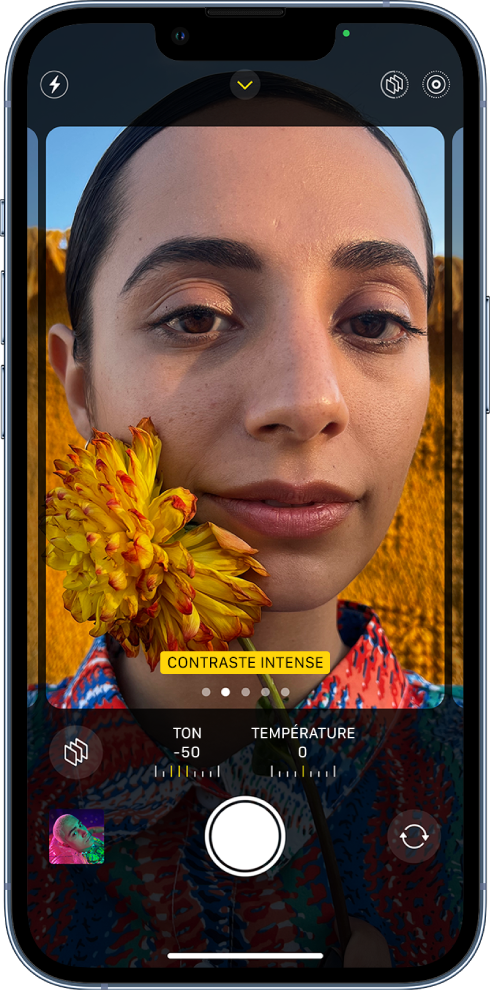 L’appareil photo est ouvert et l’écran affiche l’écran des styles photographiques. Le bouton Flash est situé dans le coin supérieur gauche de l’écran. Le bouton « Commandes de l’appareil photo » se trouve dans la partie supérieure centrale de l’écran et est activé. Les boutons « Live Photo » et « Styles photographiques » se trouvent dans le coin supérieur droit. Remplissant l’écran de l’appareil photo, le style « Contraste intense » est sur le cadre de la caméra. Sous le cadre de l’appareil photo se trouvent le bouton Styles, les curseurs permettant d’ajuster les valeurs Ton et Température, ainsi que le bouton de réinitialisation des styles. En bas de l’écran, de gauche à droite, se trouvent le bouton « Visualiseur de photos et vidéos », le bouton « Prendre une photo » et le bouton « Sélecteur de caméra - face arrière ».