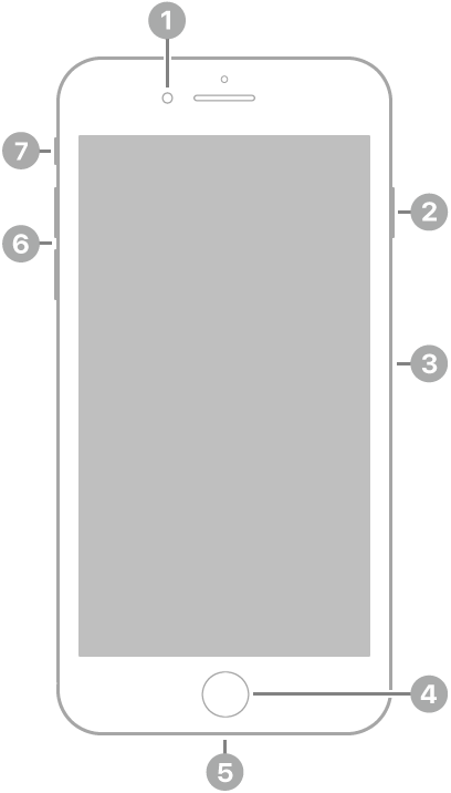 iPhone 8 Plus sett forfra. Kameraet foran er oppe til venstre for høyttaleren. På høyre side, fra bunnen til toppen, vises sideknappen og SIM-skuffen. Hjem-knappen er sentrert nederst. Lightning-tilkoblingen er nederst langs kanten. På venstre side, fra bunnen til toppen, vises volumknappene og ringelydbryteren.