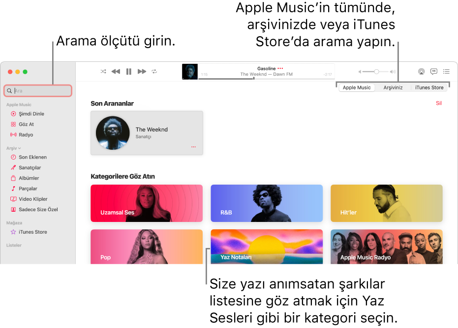 Sol üst köşede arama alanını, pencerenin ortasında kategori listesini ve sağ üst köşede Apple Music, Arşiviniz ve iTunes Store seçeneklerini gösteren Apple Music penceresi. Arama alanına arama ölçütünü girin, sonra Apple Music’in tamamında, yalnızca arşivinizde ya da iTunes Store’da arama yapmayı seçin.