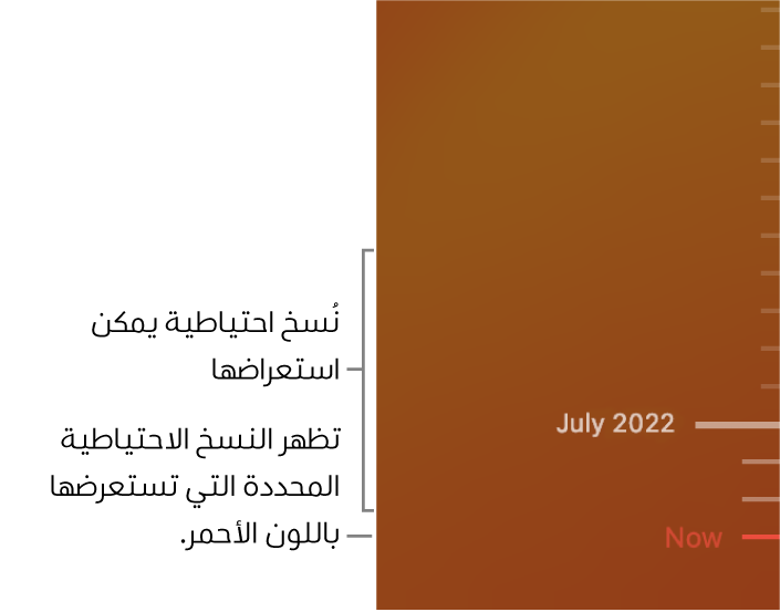 علامات اختيار في المخطط الزمني للنسخ الاحتياطي. علامة اختيار باللون الأحمر تشير إلى النسخة الاحتياطية التي تستعرضها.