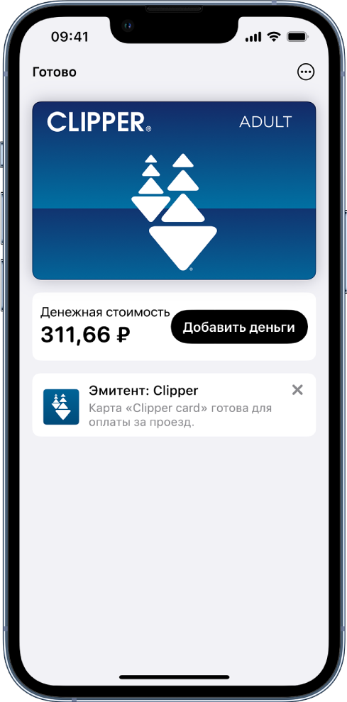 Транспортная карта в приложении Wallet. Посередине экрана, рядом с кнопкой «Добавить деньги», показан остаток средств на карте.