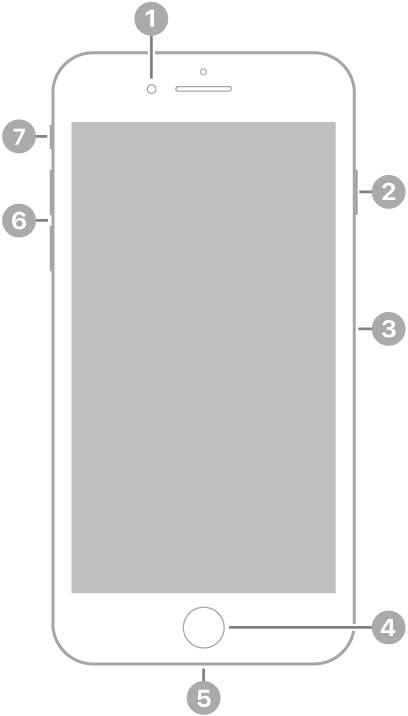 iPhone 8 Plus 的正面。前置相機位於最上方，揚聲器的左側。右側由上至下是側邊按鈕和 SIM 卡托盤。主畫面按鈕位於中央底部。Lightning 連接器位於底部邊緣。左側由下至上是音量按鈕和響鈴/靜音切換。