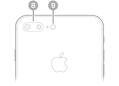 iPhone 8 Plus 的背面。後置相機和閃光燈位於左上方。