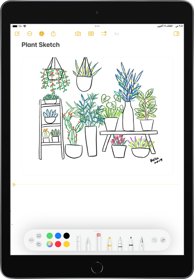 رسم تخطيطي لنبات مرسوم باليد في تطبيق الملاحظات. يظهر شريط أدوات التوصيف على طول الجزء السفلي من الشاشة، ويعرض أدوات الرسم وتحديدات الألوان.