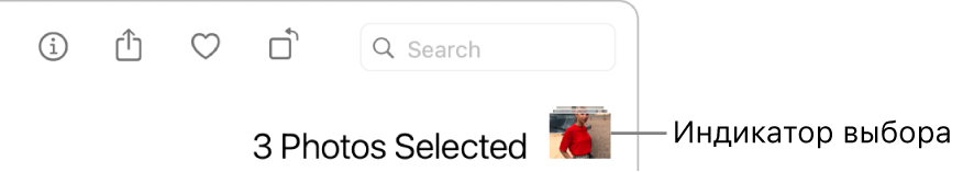 Индикатор выбора показывает, что выбраны три фотографии.
