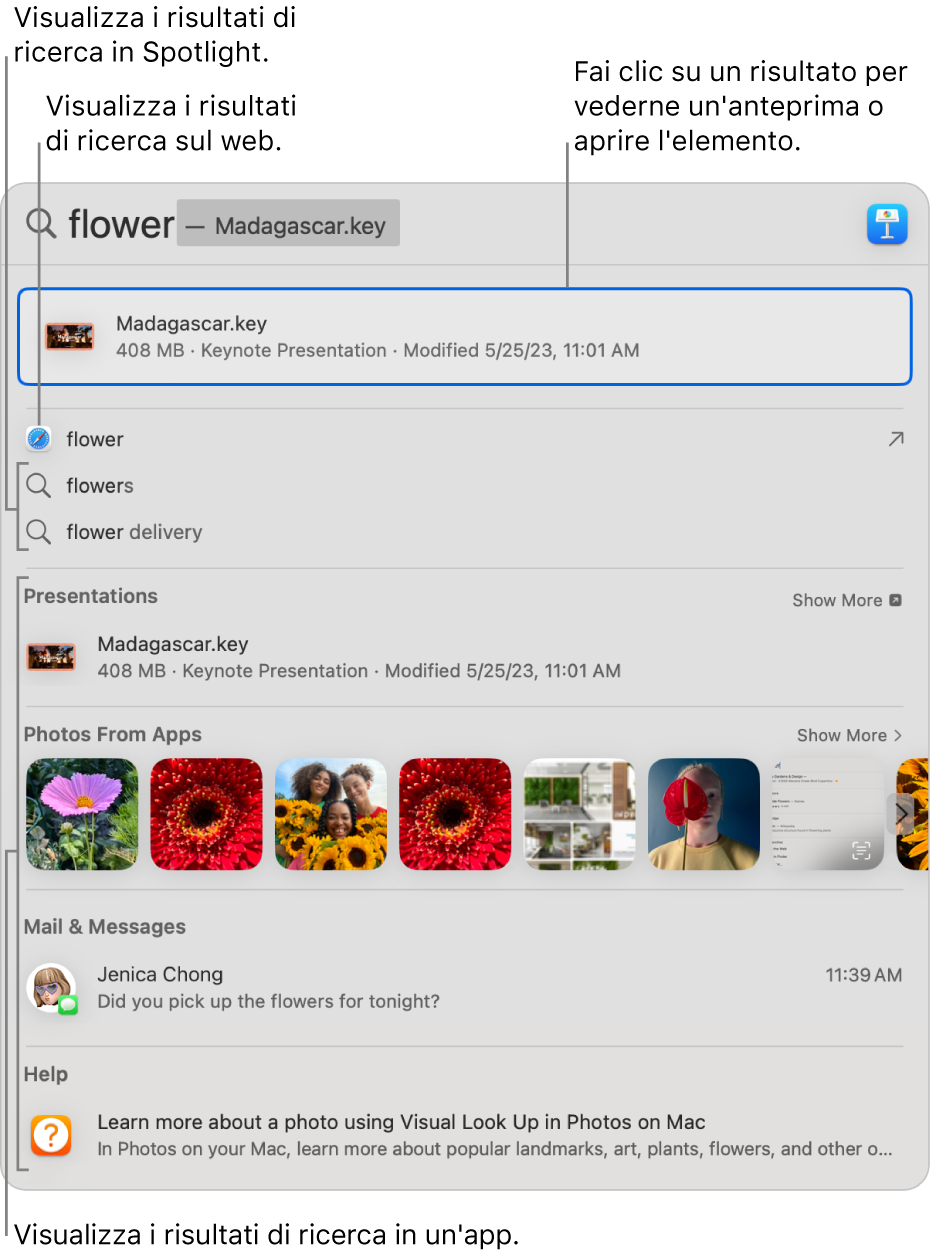 La finestra di Spotlight che mostra il testo di ricerca nel campo di ricerca nella parte superiore della finestra e i risultati di seguito.