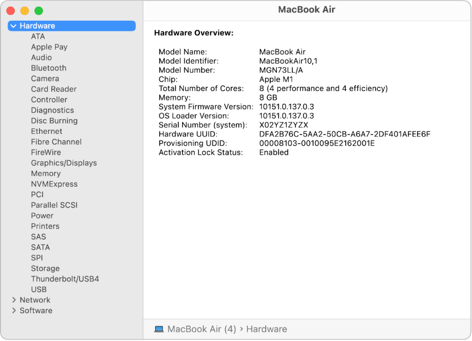 The Hardware Overview section of a system report.