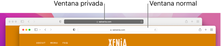 Una ventana normal de Safari en una Mac con su campo de búsqueda inteligente, y una ventana privada de Safari con su campo de búsqueda inteligente obscuro.
