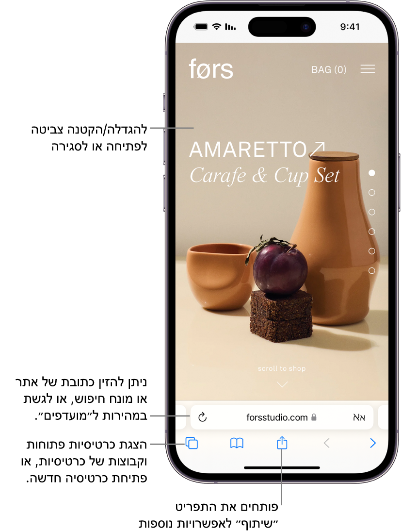 רואים אתר אינטרנט פתוח ב-Safari, עם שדה הכתובת בתחתית האתר. לאורך החלק התחתון, מימין לשמאל, נמצאים הכפתורים ״הקודם״, ״הבא״, ״סימניות״ וכרטיסיות״.