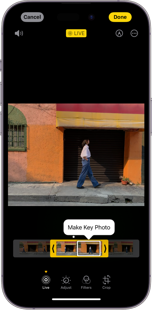Екран Live Photo са Live Photo снимком у средини. Испод фотографије се налази приказивач кадрова са активним дугметом Make Key Photo. Са обе стране приказивача кадрова се налази по једна трака која вам омогућава да скратите Live Photo. При дну екрана се налазе дугмад Live, Adjust, Filters и Crop. Избрано је дугме Live. Дугме Cancel је у горњем левом углу екрана, док је дугме Done у горњем десном углу екрана. Такође, при врху екрана, слева надесно, налазе се дугмад Mute, Live, Markup и Plug-ins.