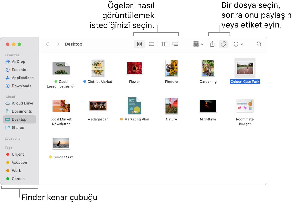 Solda Finder kenar çubuğu ile Finder penceresi. Pencerenin en üstünde, öğelerin pencerede gösterilme şeklini değiştiren dört düğme ile öğeleri düzenlemek ve paylaşmak için kullanabileceğiniz başka düğmeler var.