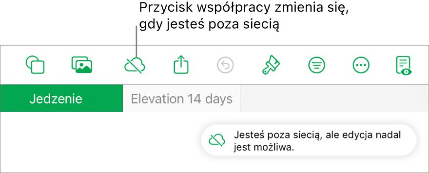 Przyciski znajdują się u góry ekranu; przycisk współpracy wyświetlany jest jako chmura przekreślona ukośną linią. Alert zawierający następującą informację: Brak połączenia z siecią, ale edycja nadal jest możliwa.