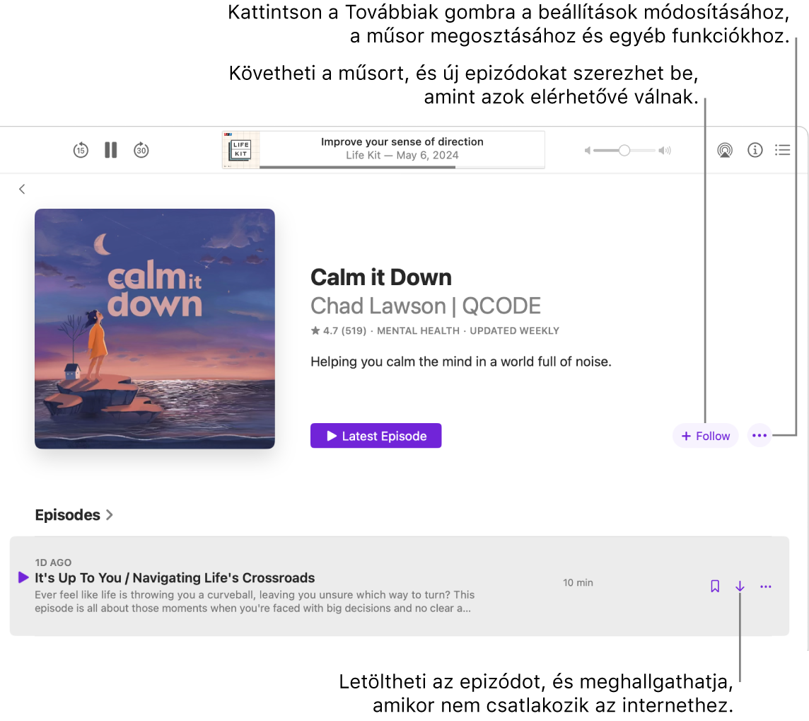 A Podcastok ablakában egy podcastepizód látható. Nyilak mutatnak a Letöltés, Követés és Továbbiak gombokra.
