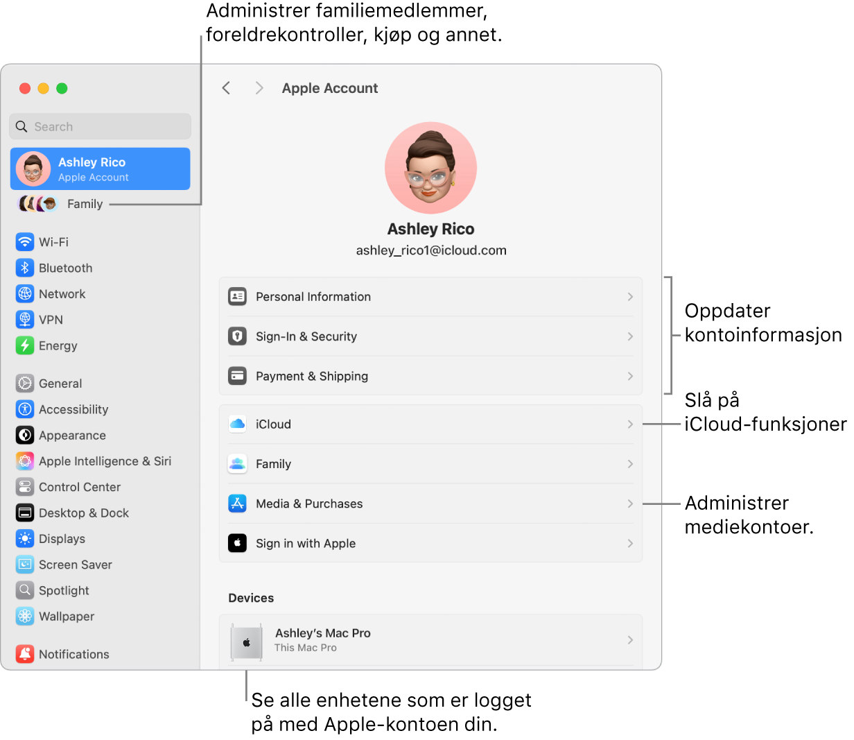 Apple-konto-innstillinger i Systeminnstillinger med forklaringer for hvordan du oppdaterer kontoinformasjon, slår av eller på iCloud-funksjoner, administrerer mediekontoer, og Familie, der du kan administrere familiemedlemmer, foreldrekontroller, kjøp og mer.