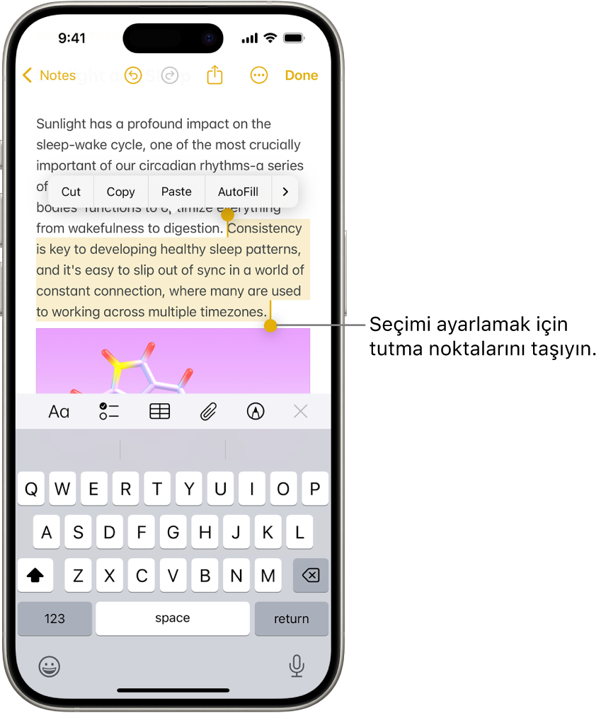 Notlar uygulamasındaki bir notta metin seçilmiş. Seçili metnin üst tarafında Kes, Kopyala, Yapıştır ve Otomatik Doldur düğmeleri bulunuyor. Seçili metin vurgulanıyor; seçimi ayarlamak için her iki uçta tutma noktaları var.