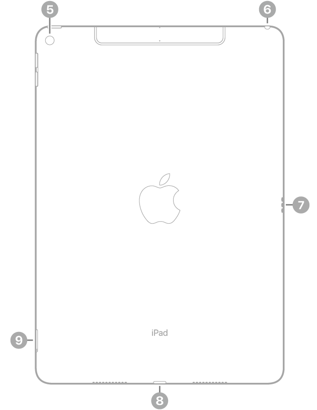 Skats uz iPad Air aizmuguri ar atsaucēm uz aizmugurējo kameru augšējā kreisajā pusē, austiņu ligzdu augšējā labajā pusē, Smart Connector labajā pusē, Lightning savienotāju apakšā pa vidu, bet SIM turētāju (Wi-Fi + Cellular) apakšā pa kreisi.
