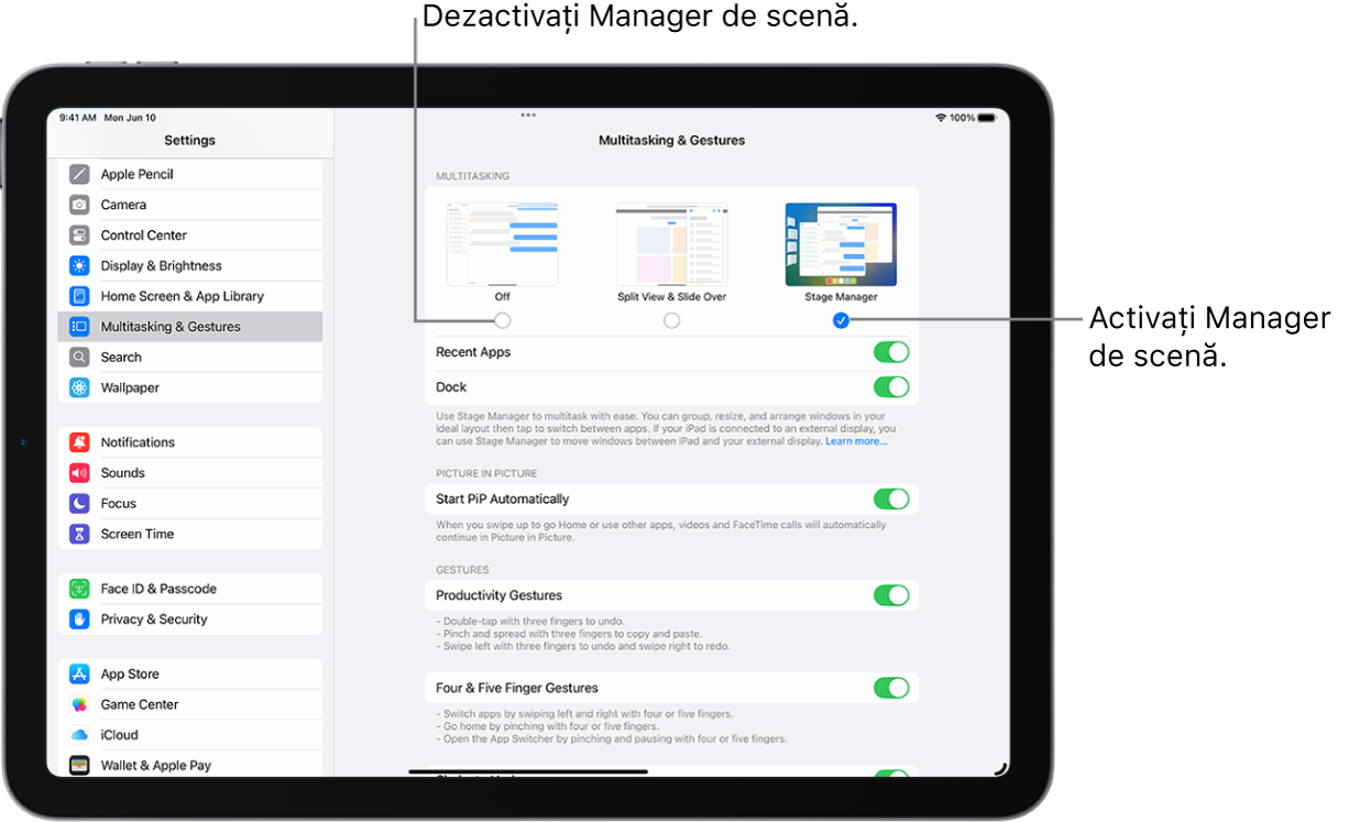 Ecranul Configurări pentru activarea sau dezactivarea Manager de scenă.