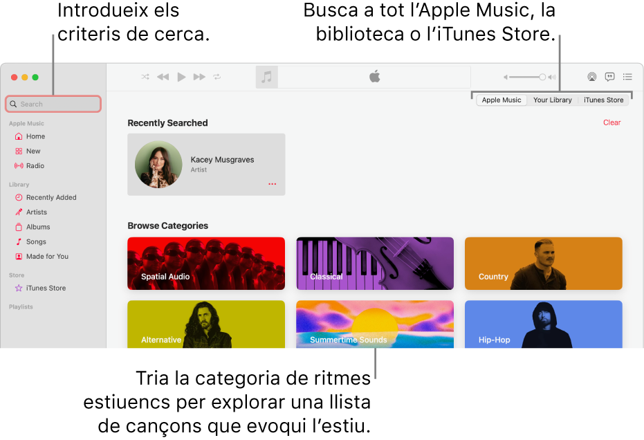 Finestra de l’Apple Music que mostra el camp de cerca a l’angle superior esquerre, la llista de categories al centre de la finestra, i l’Apple Music, la teva biblioteca o l’iTunes Store disponible a l’angle superior dret. Introdueix els criteris de cerca al camp de cerca i, aleshores, selecciona l’opció per fer la cerca a tot l’Apple Music, només a la teva biblioteca o a l’iTunes Store.