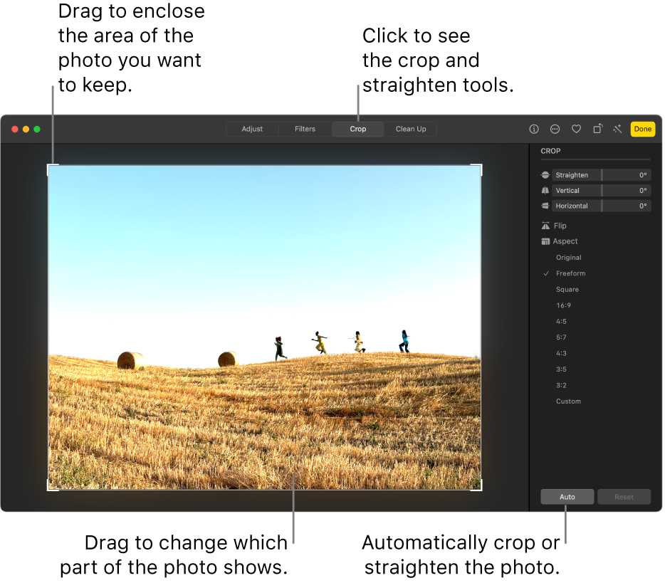 A photo in editing view, with Crop selected in the toolbar, a selection rectangle around the photo and straightening sliders, aspect ratio options, and Auto and Reset buttons on the right.