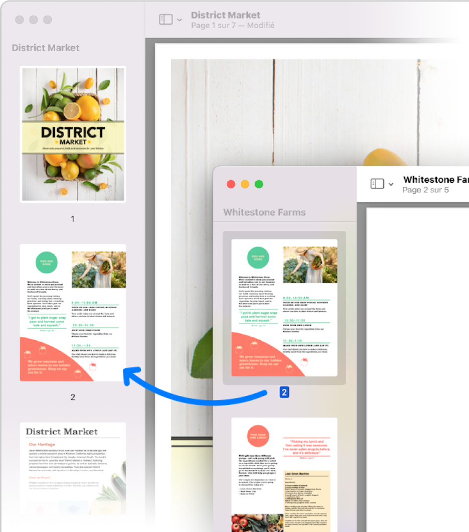 L’utilisateur fait glisser une vignette de page de la barre latérale d’un fichier PDF vers celle d’un autre.