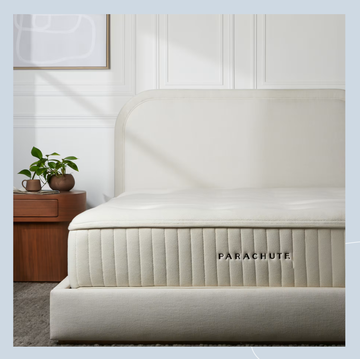 a white couch with a plant on it