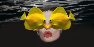 two yellow fishes kiss over a person's face