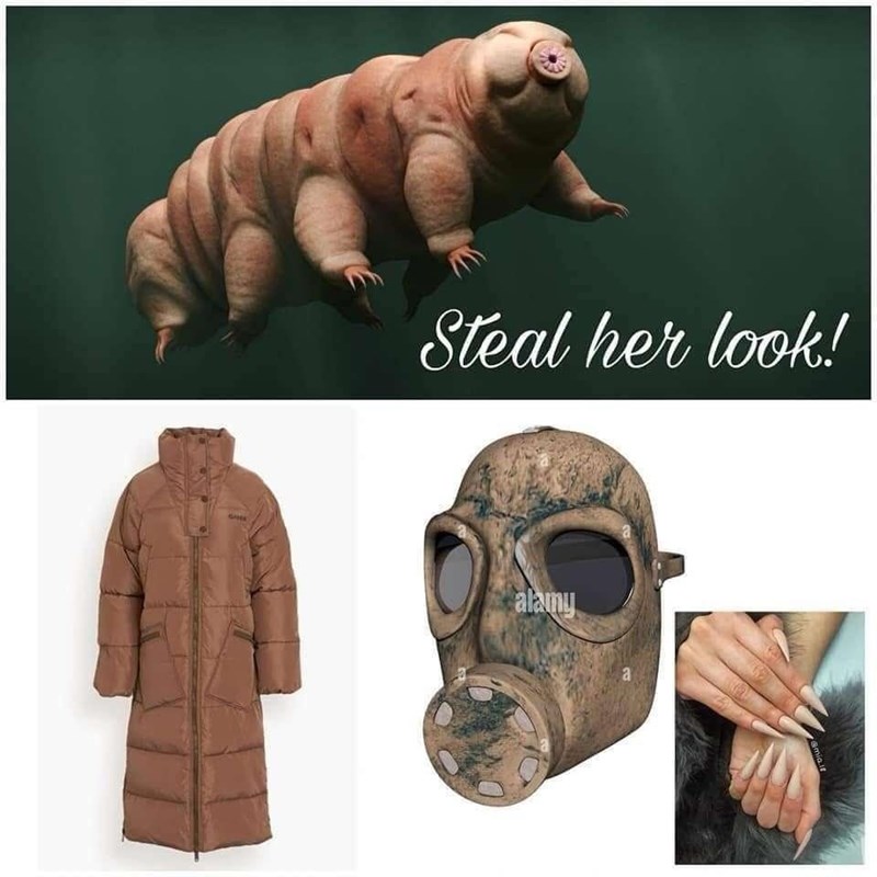 Steal her look! alamy a @mia.