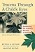 Trauma Through a Child's Eyes Awakening the Ordinary Miracle of Healing by Peter A. Levine